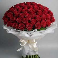 Букет 101 Красная роза Блэк Мэджик в Володино