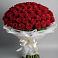 Букет 101 Красная роза Блэк Мэджик в Володино