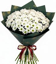 Букет цветов из:  Хризантемы #REPLACE_PRED# Володино