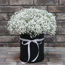 Цветочная композиция из Гипсофила в шляпной коробке в Володино