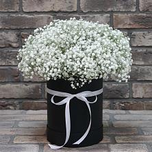 Цветочная композиция из Гипсофила в шляпной коробке в Володино